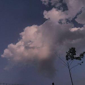 国产欧美视频在线观看
